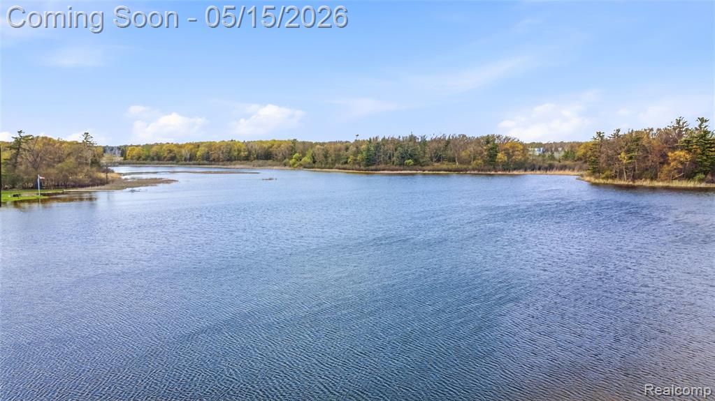 450 W Drahner Road, Oxford, MI 48371 — Photo 60