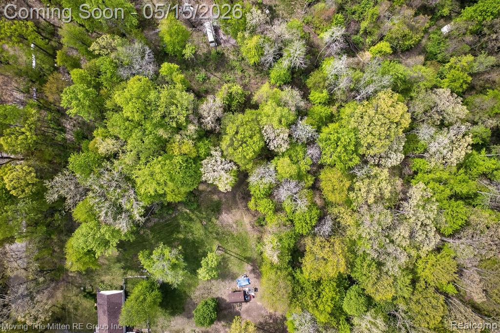 22530 Bohn Road, Belleville, MI 48111 — Photo 13
