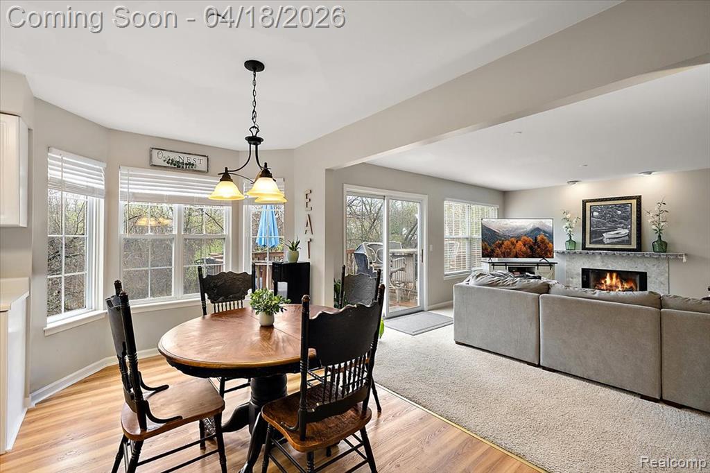 1133 Walloon Way, Lake Orion, MI — Photo 20