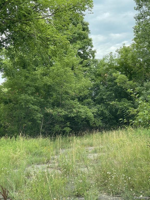 1646 N MILFORD Road, Milford, MI 48381 — Photo 6