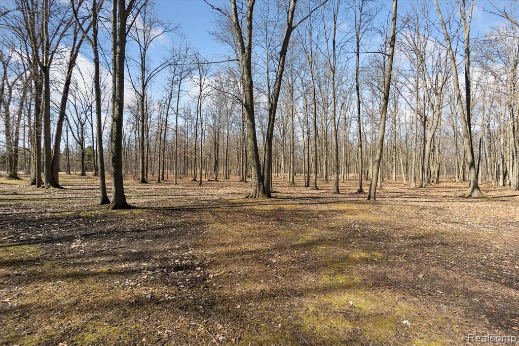 6730 FORT Road, Birch Run, MI 48415 — Photo 25