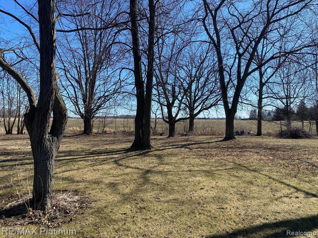 17801 CORUNNA Road, Chesaning, MI 48616 — Photo 7