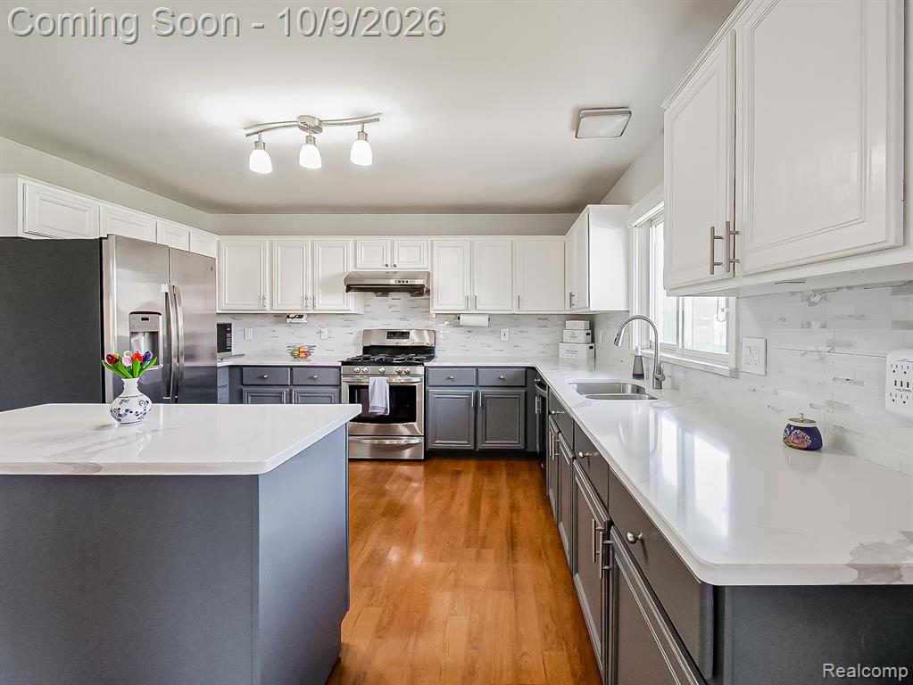 44197 Ivory Way Drive - Photo 4