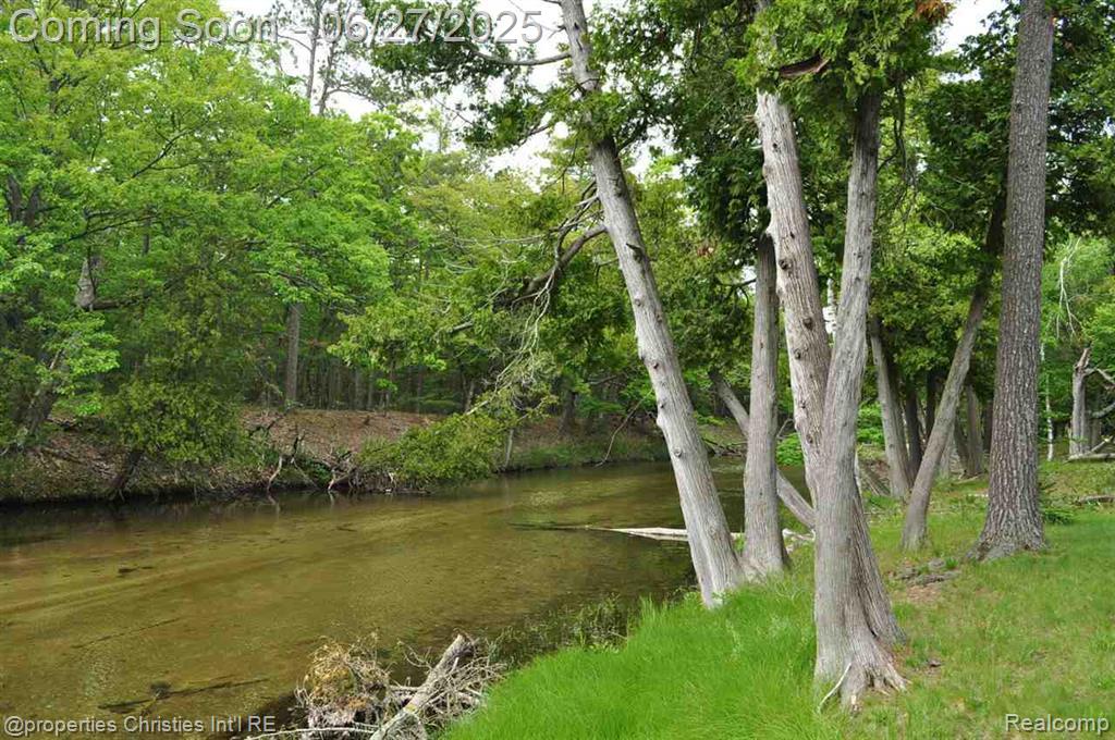 3 Millside, Glen Arbor, MI 49636 — Photo 2