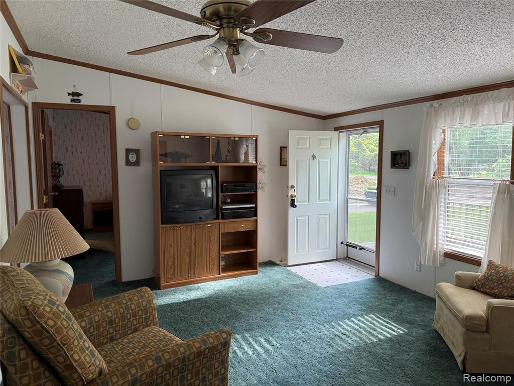 7282 Birch Drive, MI — Photo 4