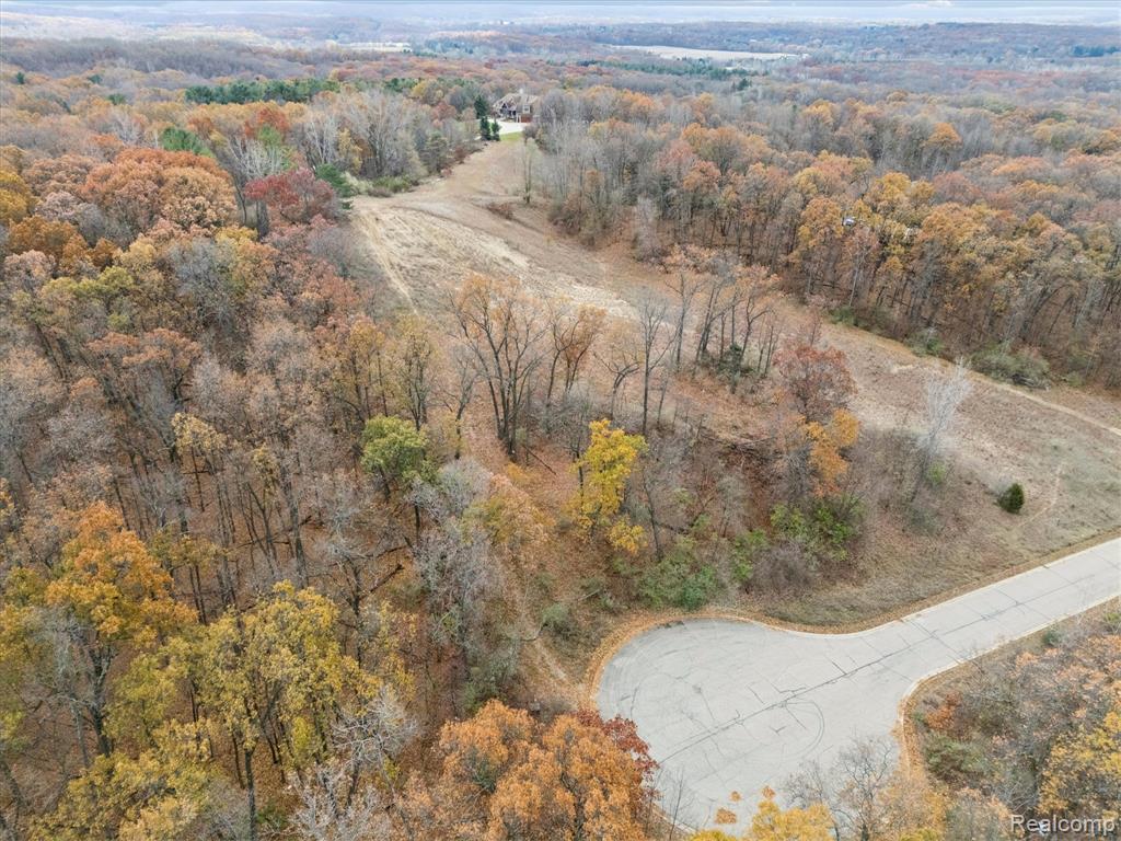 9410 Grand Summit Drive, Fenton, MI 48430 — Photo 13