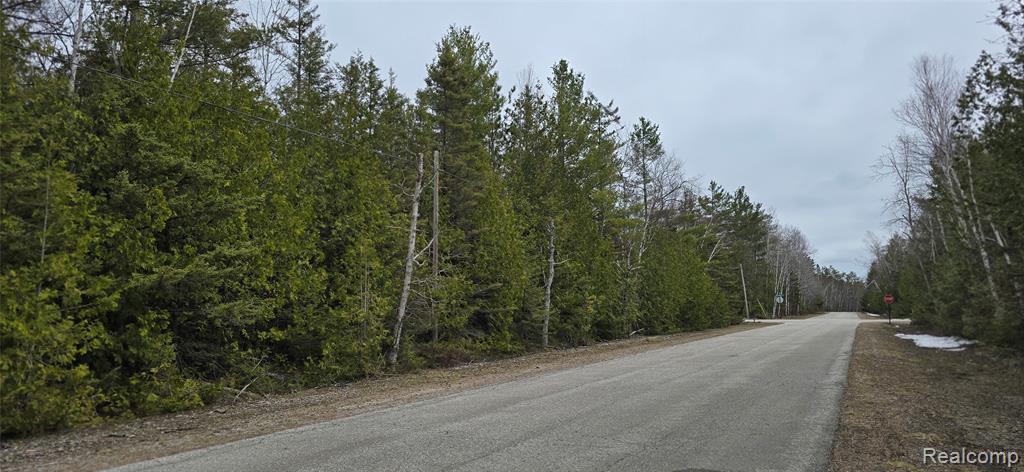 VL Lot 332 Balsam Drive, Presque Isle, MI 49777 — Photo 2