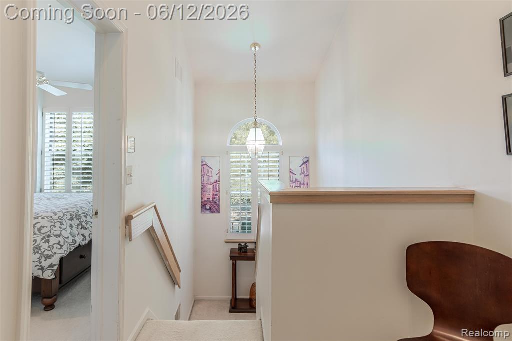 234 Lyn Anne Court, Ann Arbor, MI 48103 — Photo 13
