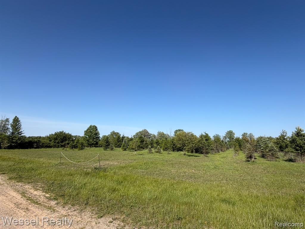 0 Windmill Lane, Imlay City, MI 48444 — Photo 4