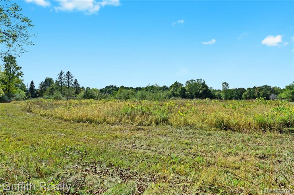9800 Beeman Road, Chelsea, MI 48118 — Photo 3