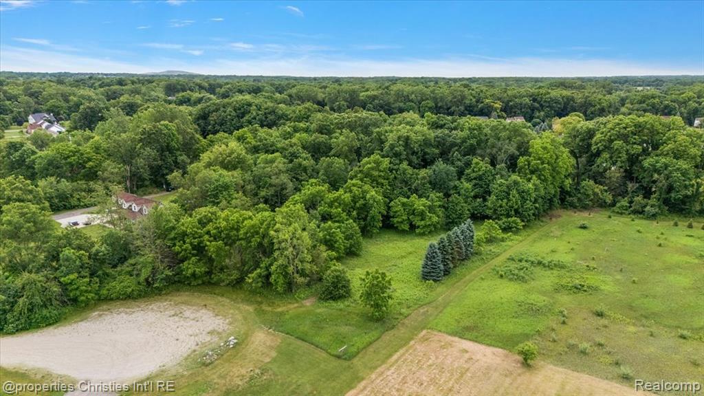22150 Donnas Drive Street, South Lyon, MI 48178 — Photo 11
