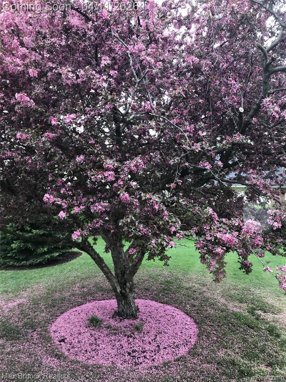 5010 Lake Vista Drive, West Bloomfield, MI 48323 — Photo 39