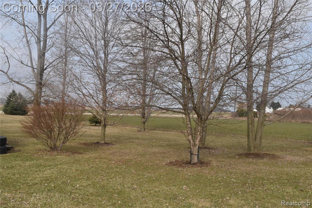 6619 Fisher Road, MI 48032 — Photo 5