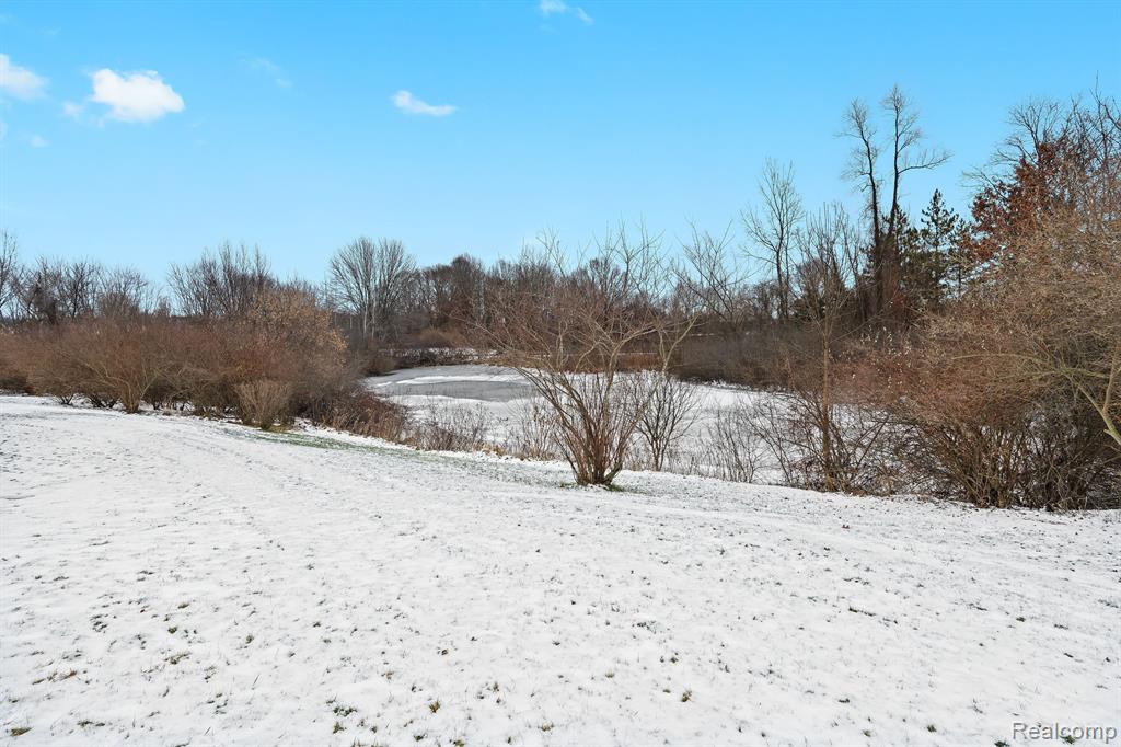 5899 CHILSON Road, Howell, MI 48843 — Photo 41
