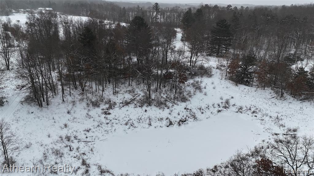 5785 Bringold, Lake, MI 48632 — Photo 4