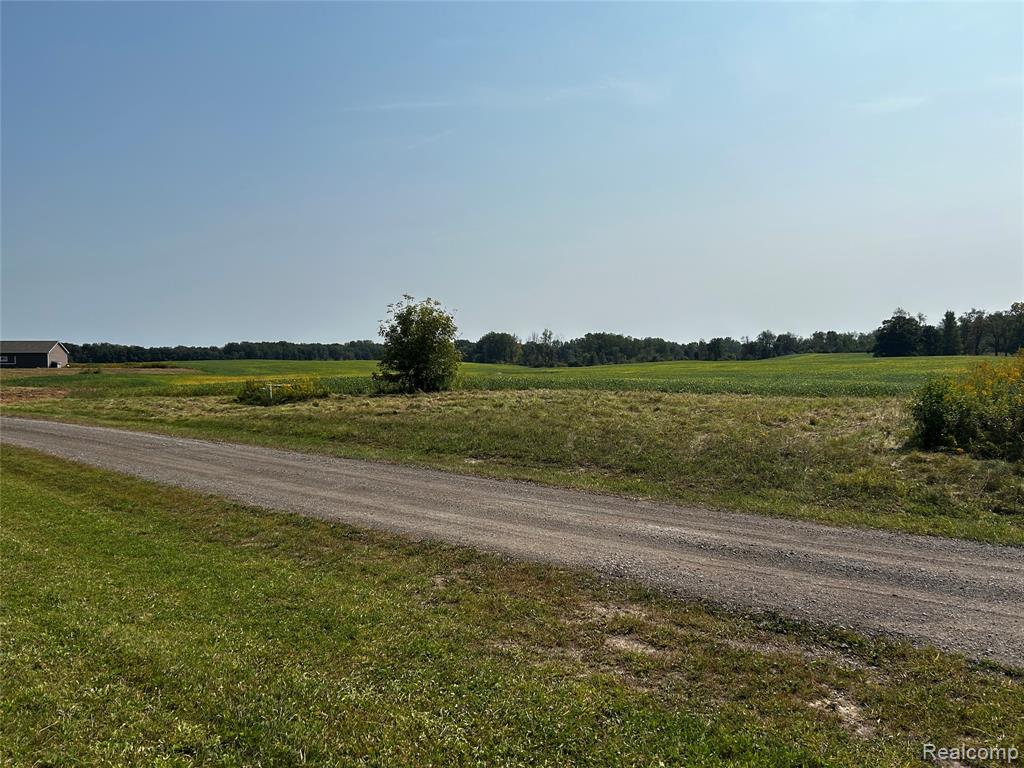 Parcel N N Hacker Road, Howell, MI 48843 — Photo 8