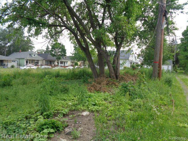 5201 CASMERE Street, Hamtramck, MI 48212 — Photo 6