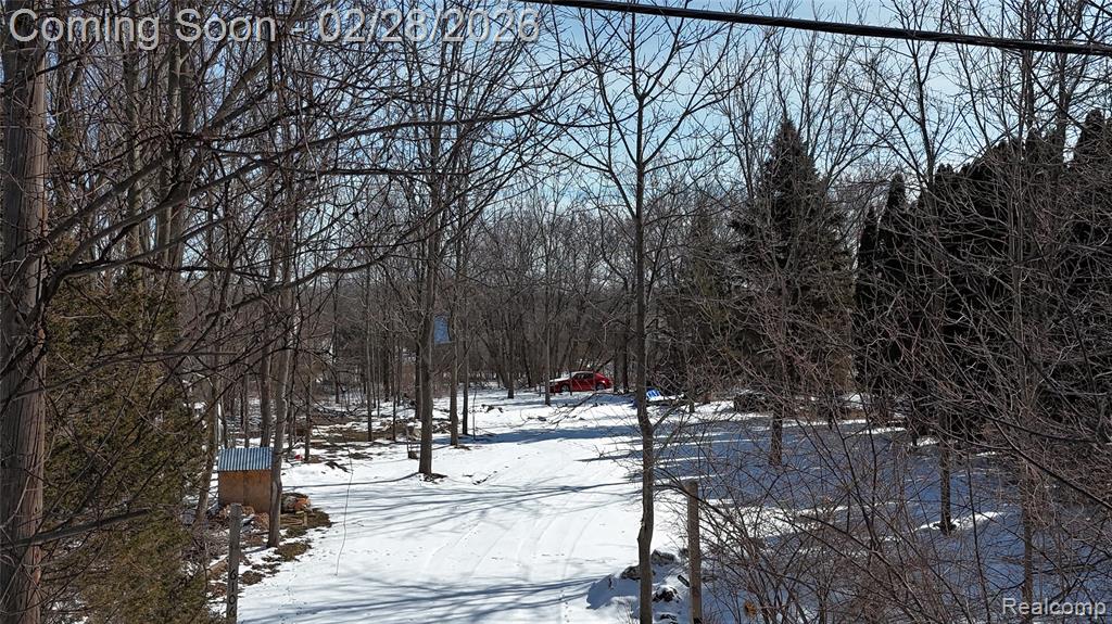 6106 E River Road, Flushing, MI 48433 — Photo 2