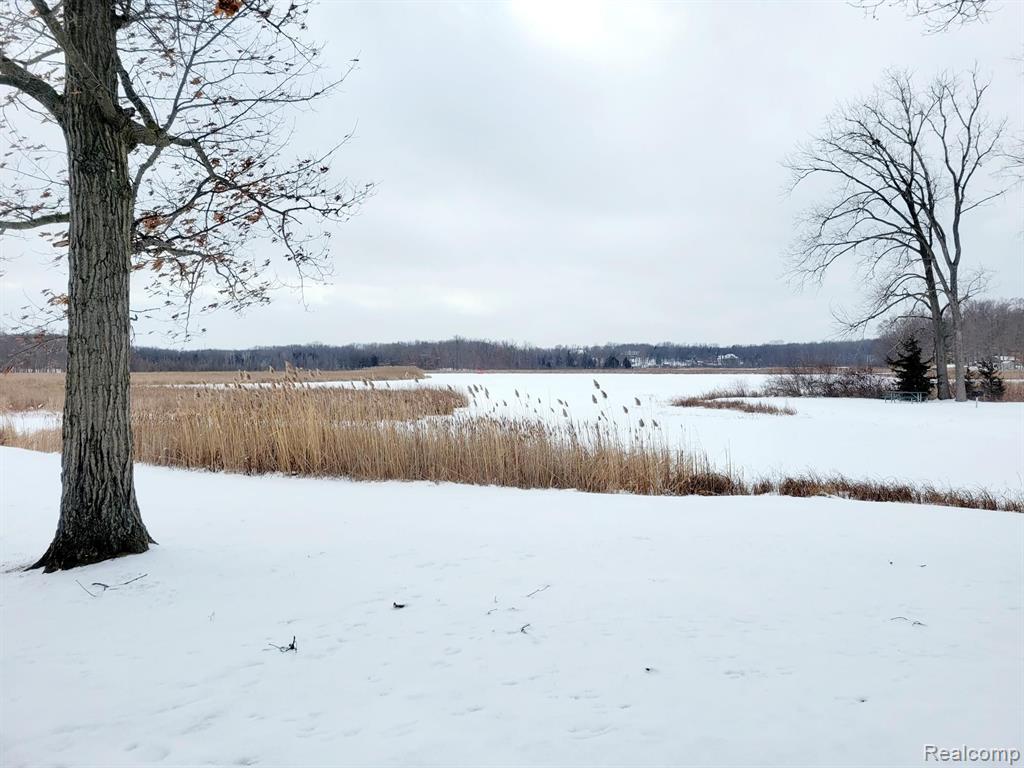 11616 Heron Bay Drive, Fenton, MI 48430 — Photo 20
