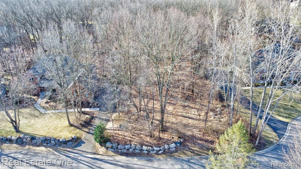 9889 Kingston Ridge, Clarkston, MI 48348 — Photo 5