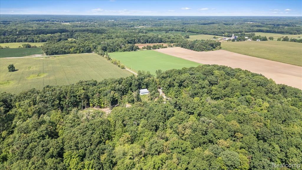 9274 Argentine Road, Linden, MI 48451 — Photo 40