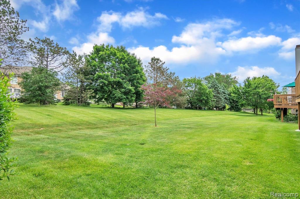 3601 MEADOW GROVE Trail, Ann Arbor, MI 48108 — Photo 6