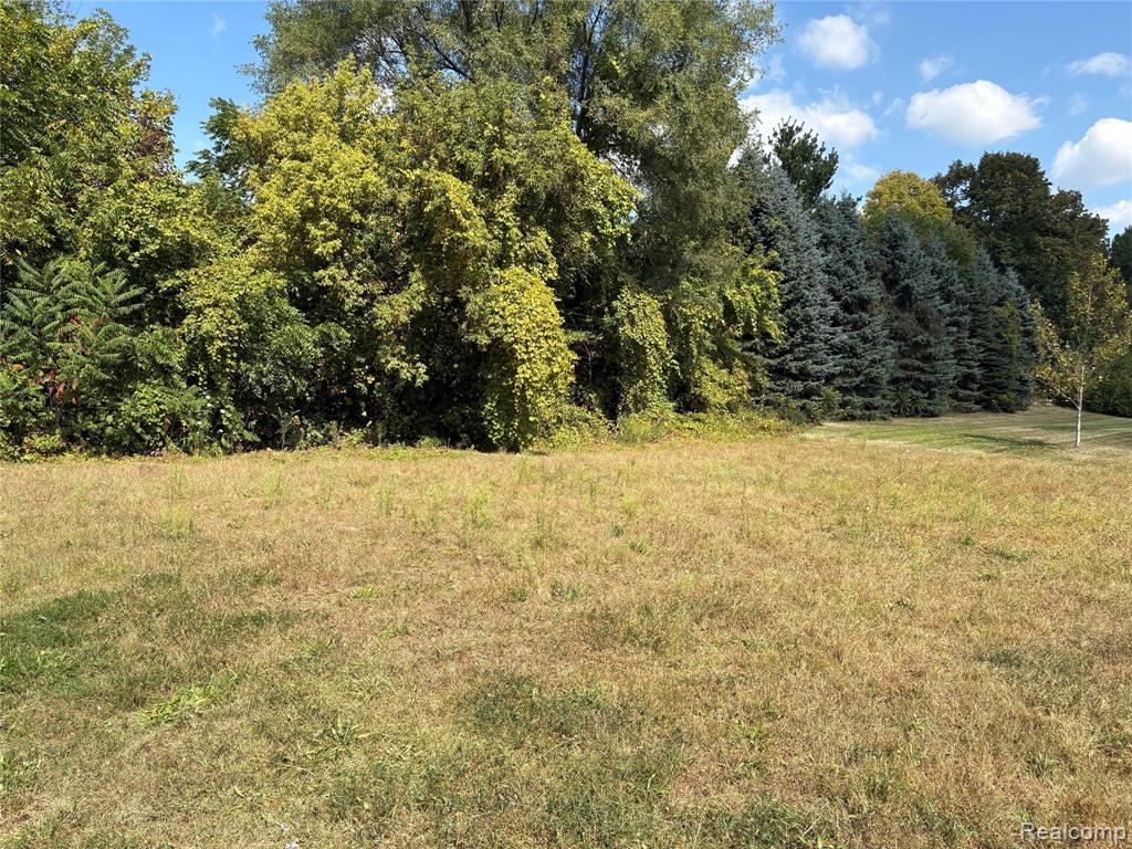18018 RIDGEVIEW Drive, Northville, MI — Photo 3