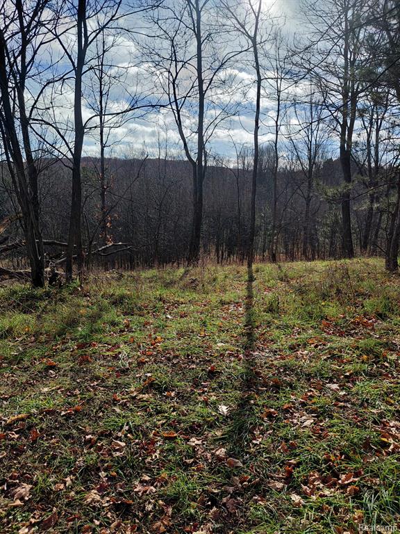 4547 Potter Road, Bear Lake, MI 49614 — Photo 2