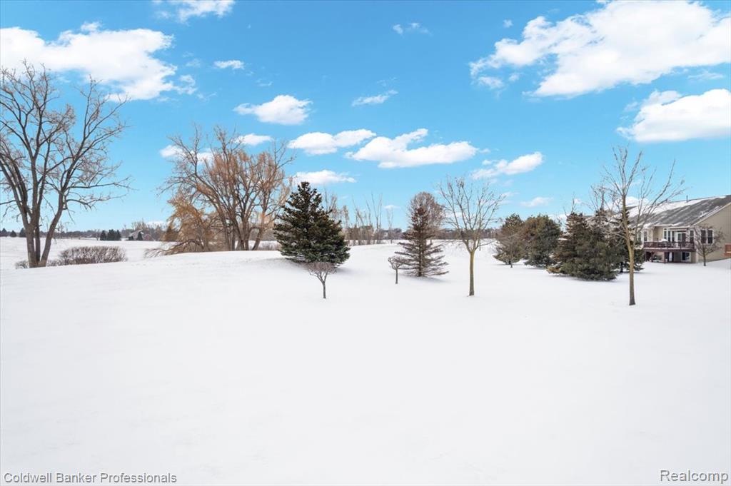 285 Stony Lake Drive, Oxford, MI 48371 — Photo 9