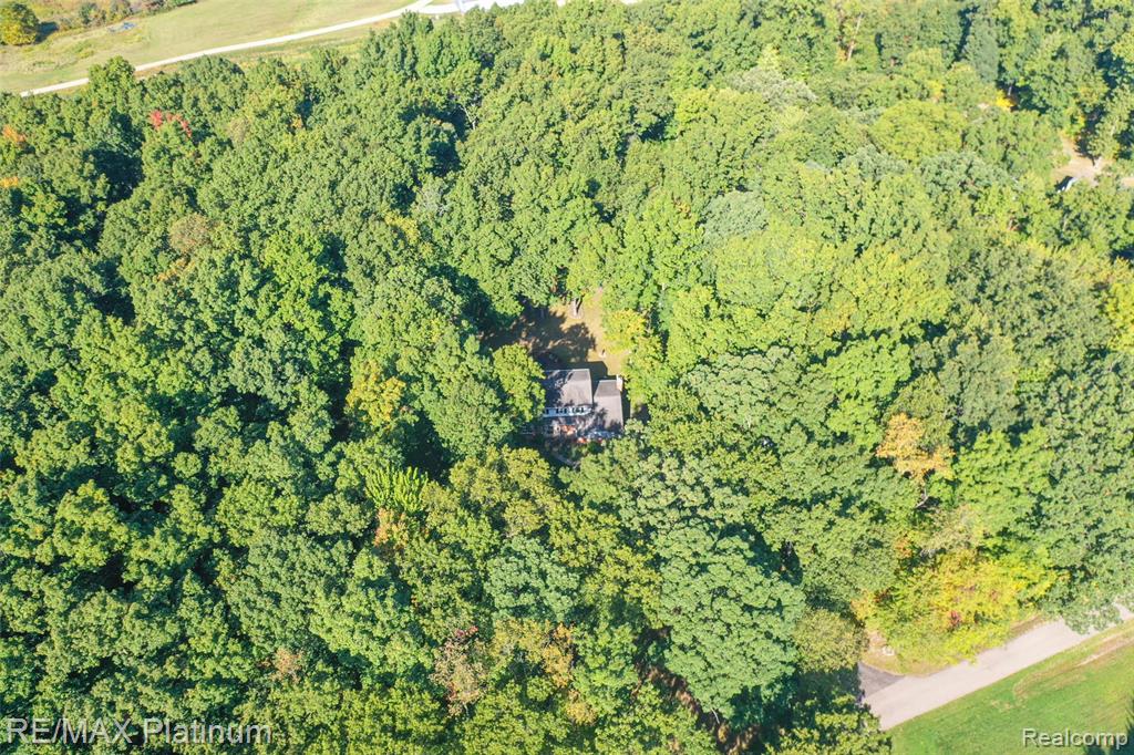 6567 Heaven Drive, Howell, MI 48855 — Photo 9