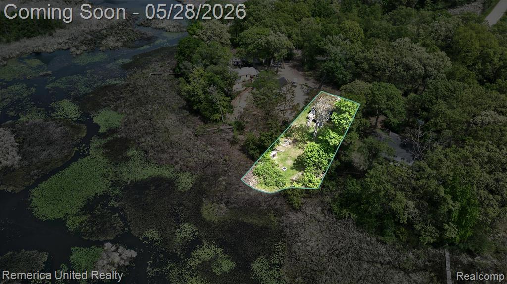3980 Ben Hur Drive, Brighton, MI 48114 — Photo 39