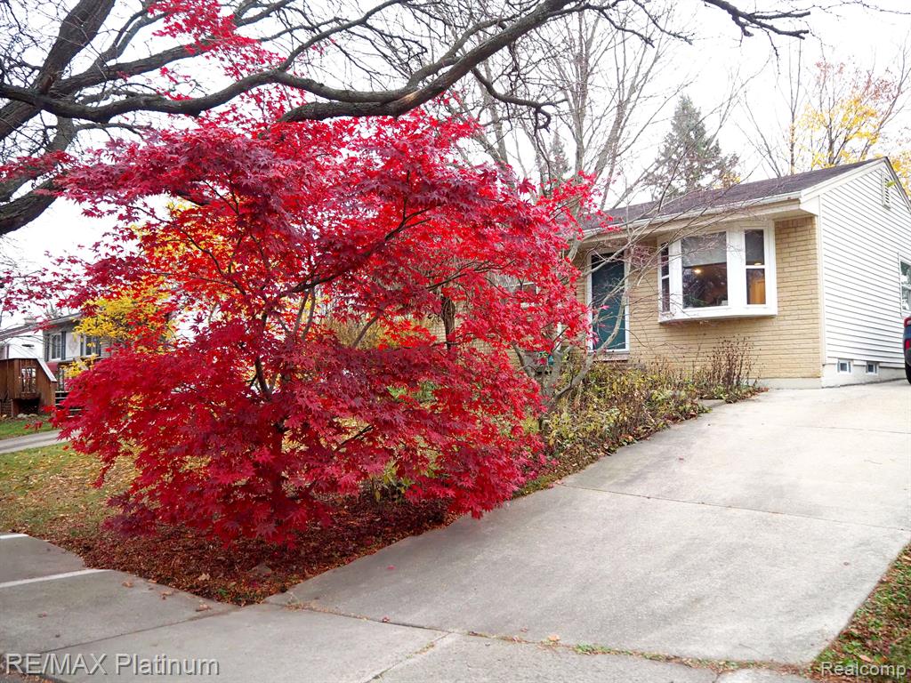 2123 Winewood Avenue, Ann Arbor, MI 48103 — Photo 2