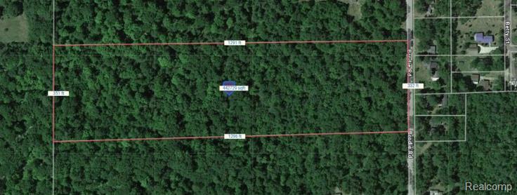 V/L S BRODIE Road, South Branch, MI 48761 — Photo 9