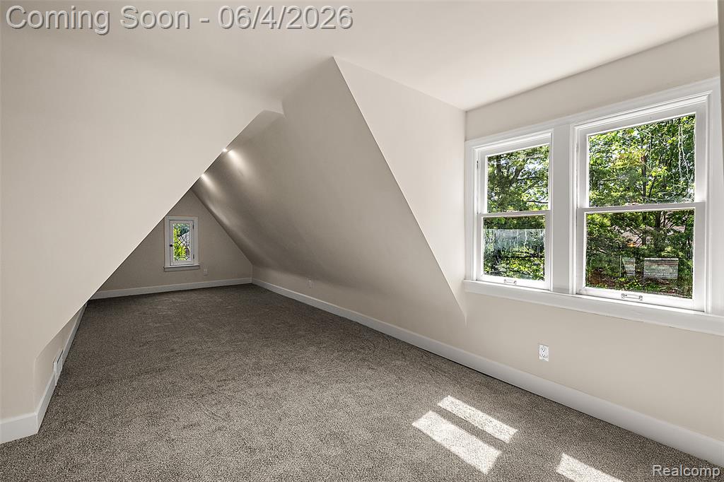 3800 Sturtevant Street, Detroit, MI 48206 — Photo 56