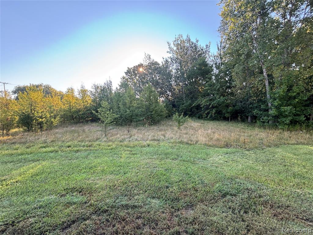 E E Carpenter Road, Flint, MI 48505 — Photo 5