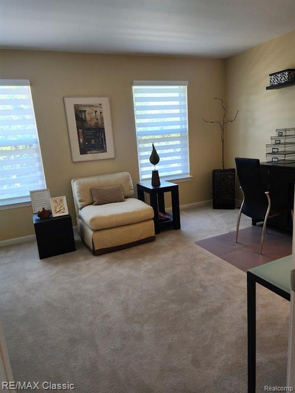 57367 CURTIS Street, Washington, MI — Photo 20