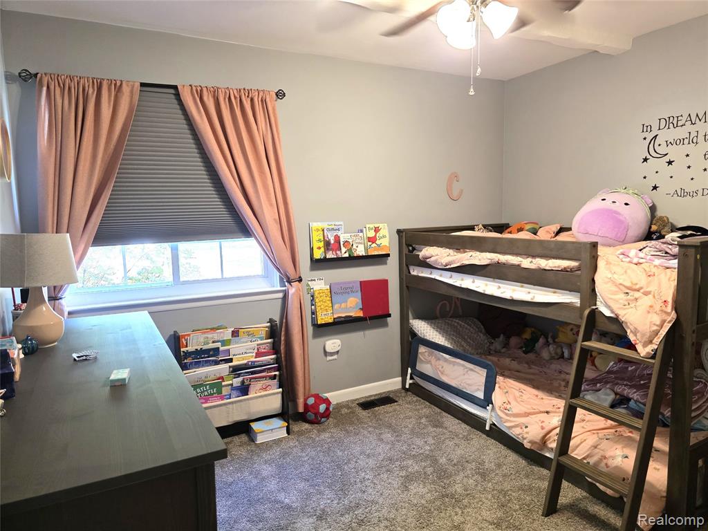 397 University Avenue, South Lyon, MI 48178 — Photo 17