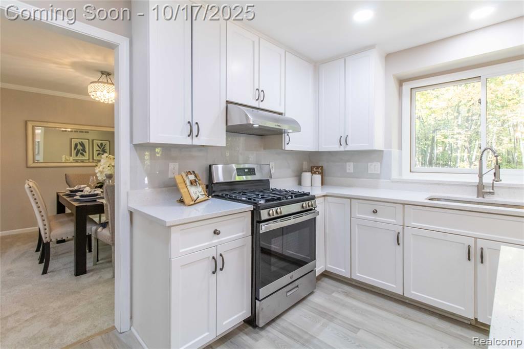 4070 Blue Heron Drive, Auburn Hills, MI 48326 — Photo 25