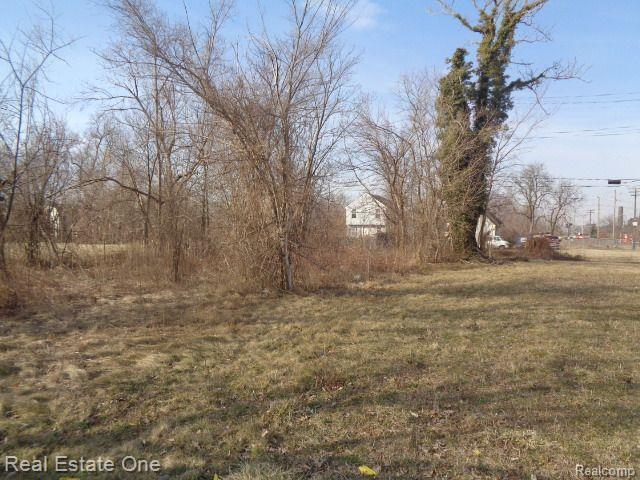 4293 16TH Street, Detroit, MI 48208 — Photo 3