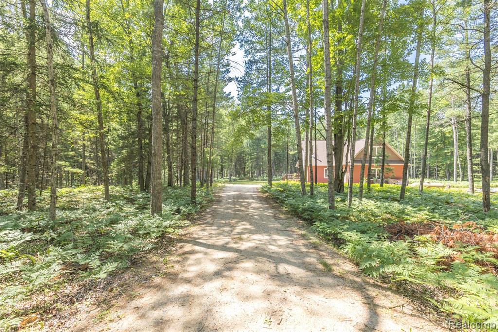 4345 Brenda Court, MI 48656 — Photo 66