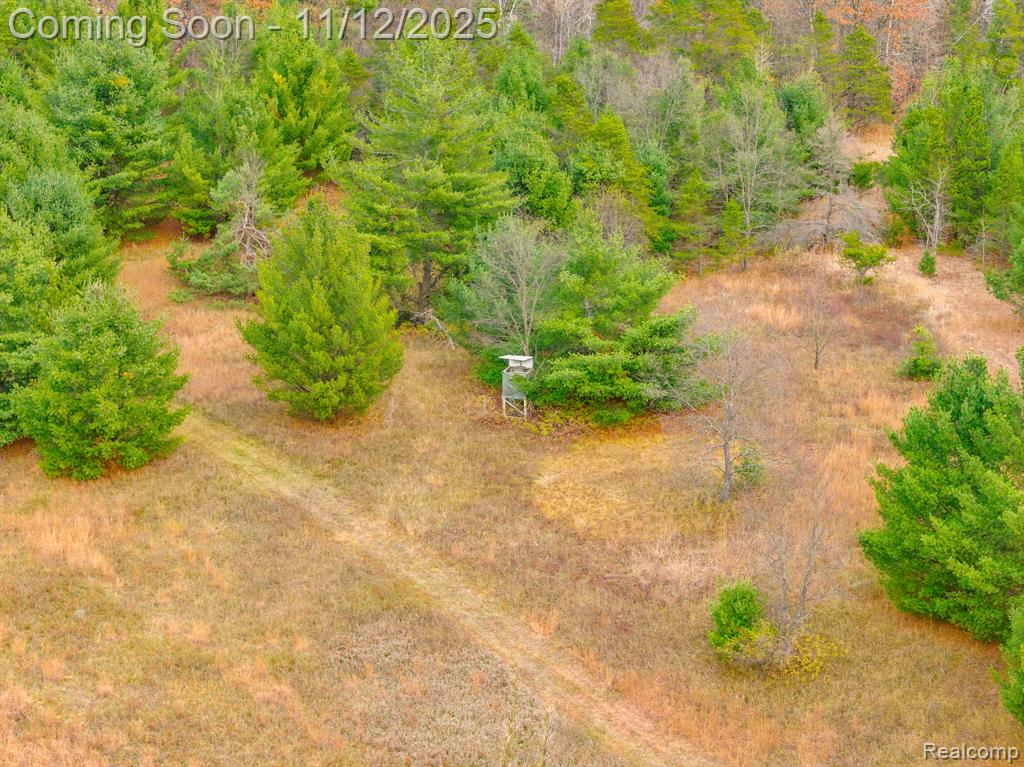 495 N M 65 Highway N, Curran, MI 48728 — Photo 42