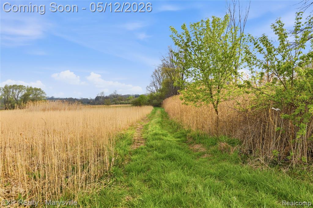 3345 Beach Road, Port Huron, MI 48060 — Photo 35