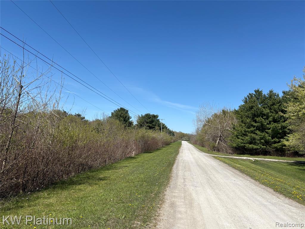 Parcel C Wicha Drive, Burtchville, MI 48059 — Photo 7