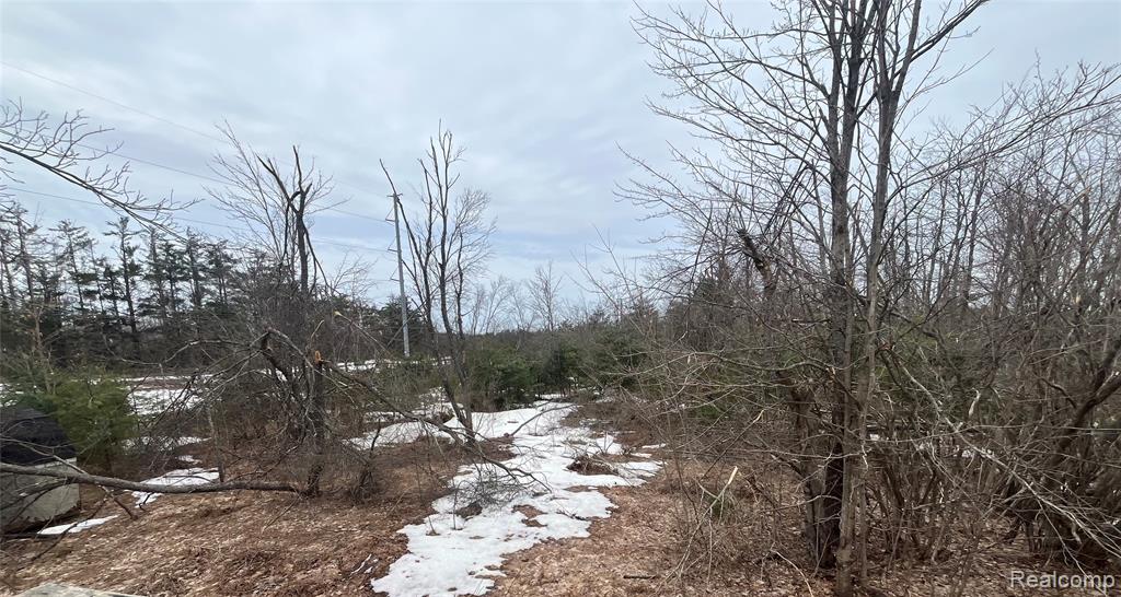 Search Homes for Sale