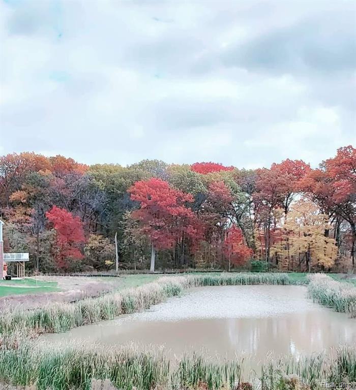 7908 Everett Drive, Westland, MI — Photo 8