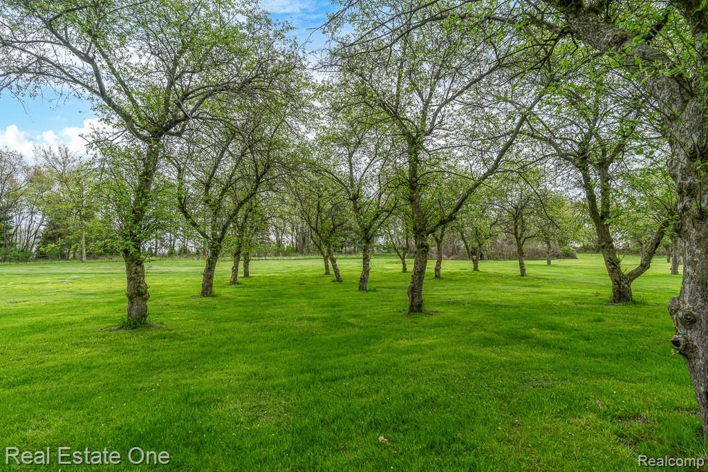78642 Harvest Lane, Romeo, MI 48065 — Photo 52