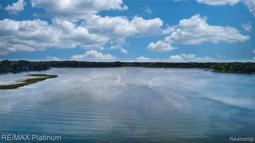 4358 SKUSA Drive, Brighton, MI 48116 — Photo 18