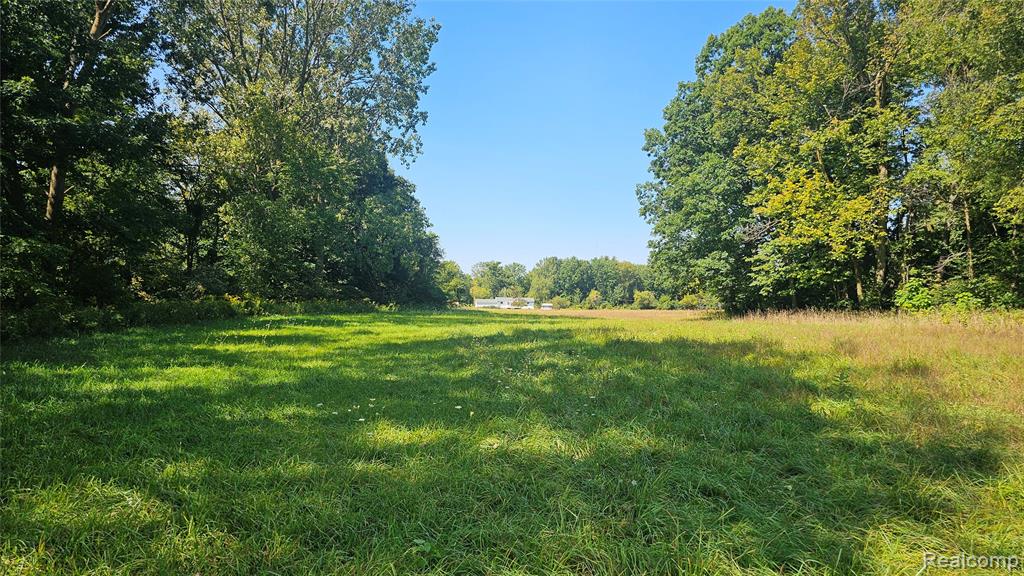14066 N Lewis Road, Clio, MI 48420 — Photo 34