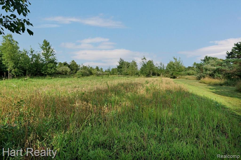 6767 Saint Marys Street, Brown, MI 48416 — Photo 29