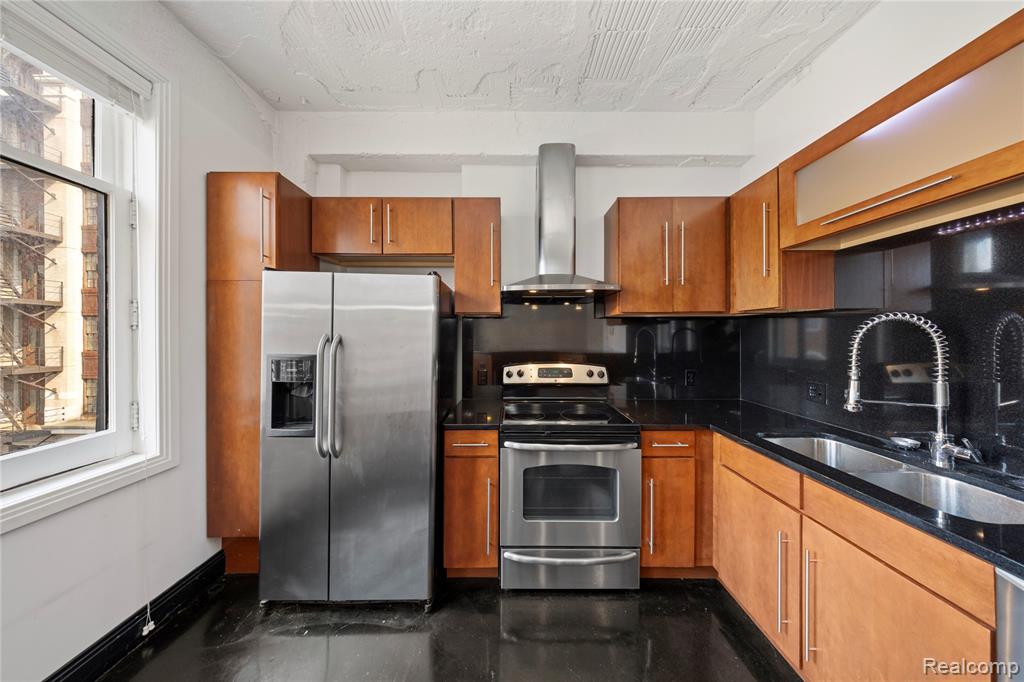 2233 Park Avenue, Detroit, MI 48201 — Photo 14